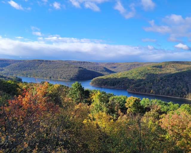 Allegheny National Forest