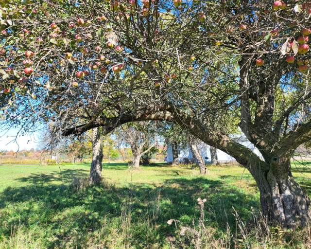 Geer Farm