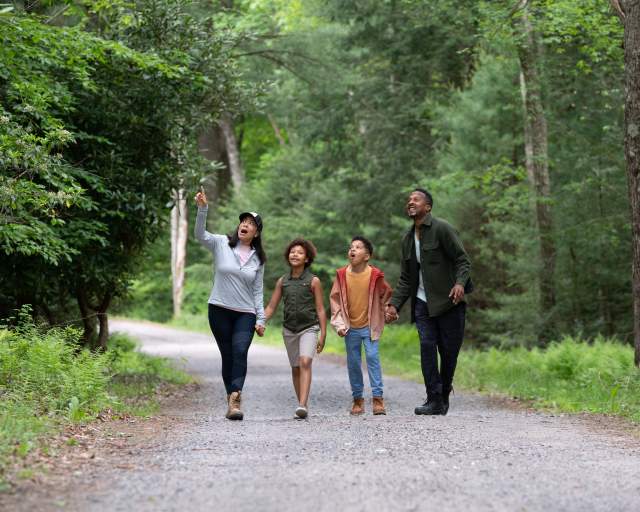 Hickory Run State Park