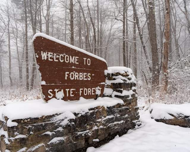 Forbes State Forest