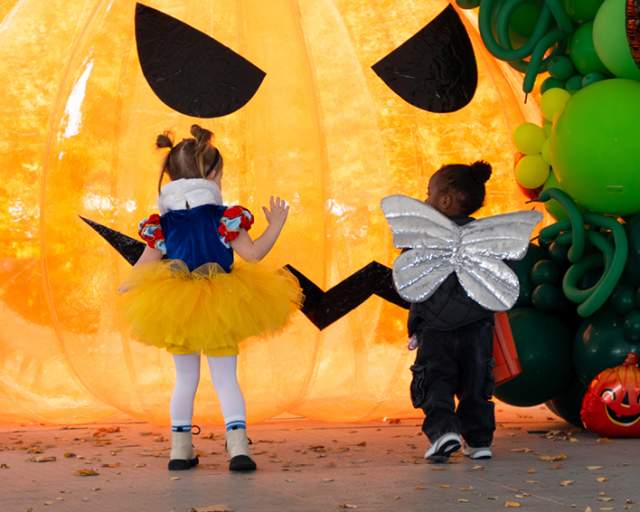 Slightly Batty Halloween Wing-Ding