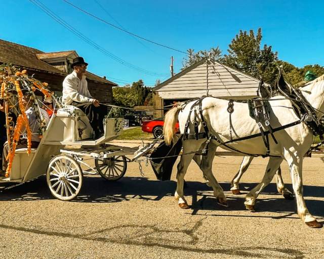 Evans City PumpkinFest