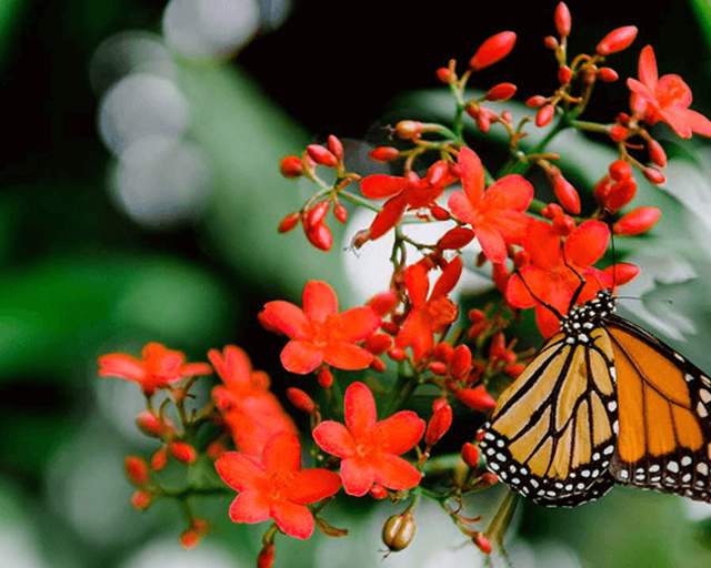Erie Zoo & Botanical Gardens