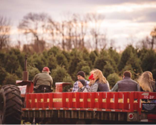 Autumn Moon Hayrides at Linvilla Orchard's