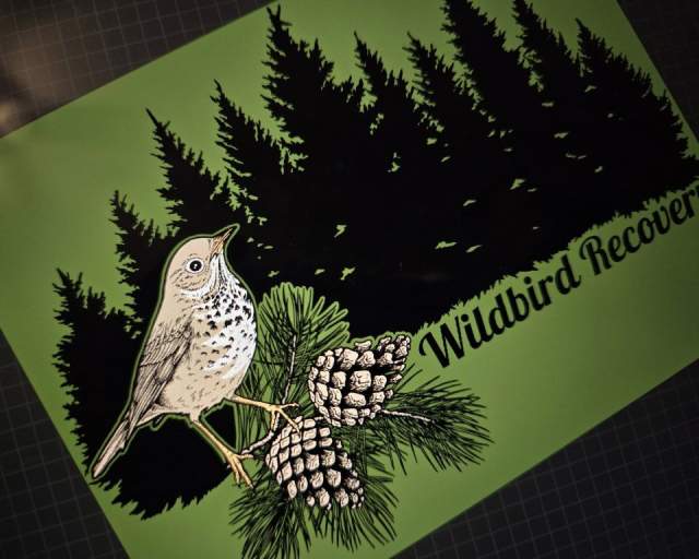 15th Annual Wildbird Recovery Fall Migration Festival