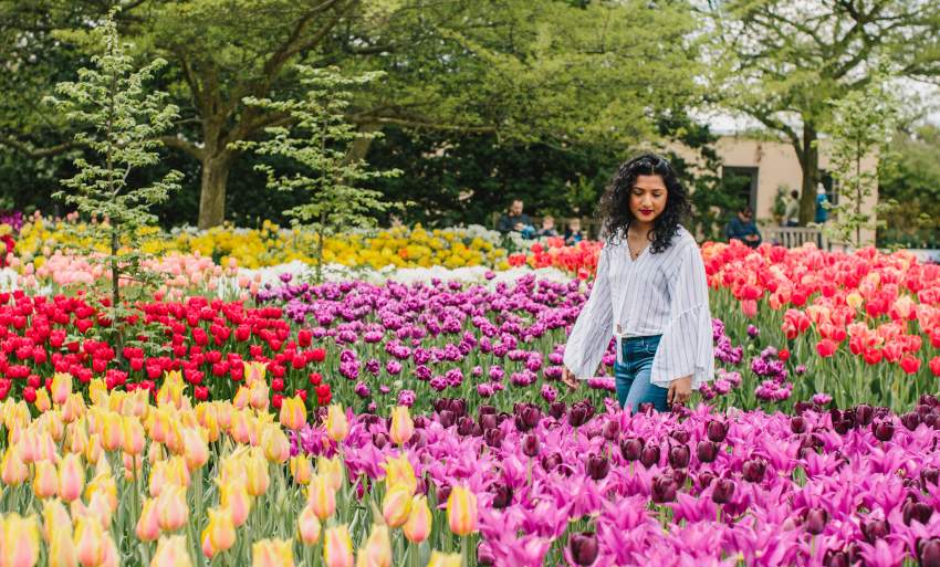 Spring at Longwood Gardens, Women walking through field of tulips