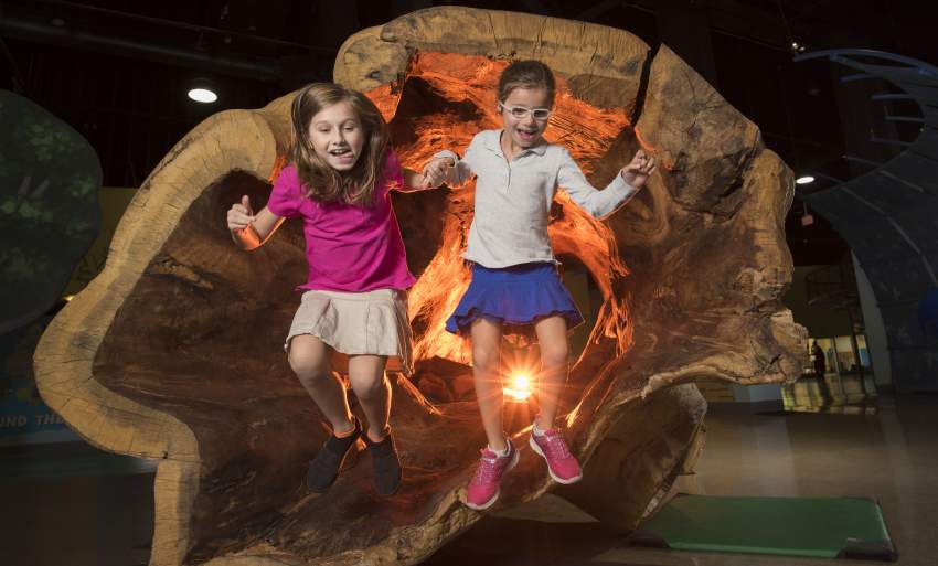 Summer Fun Kids Will Love in Wilmington & the Brandywine Valley