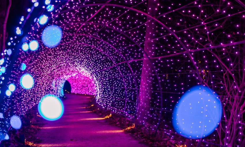 LW Christmas Light Tunnel