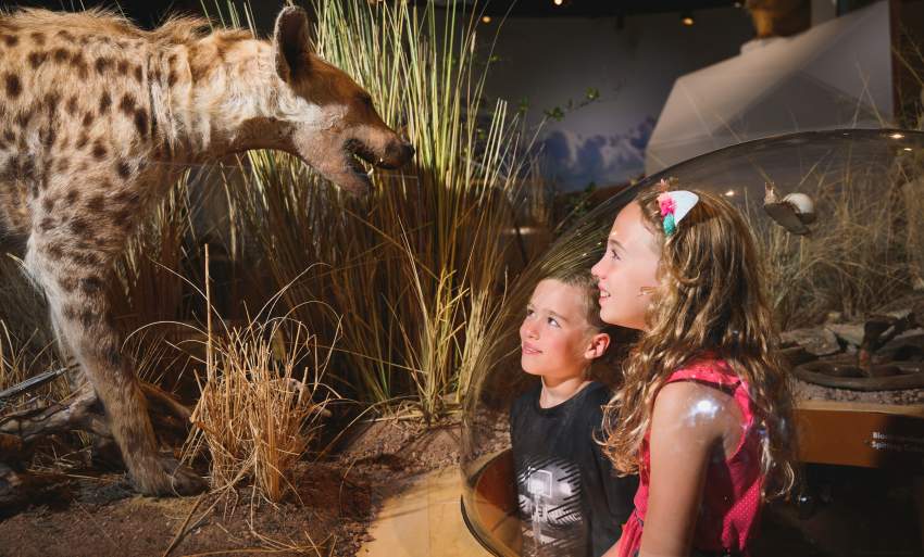 Delaware Museum of Nature & Science