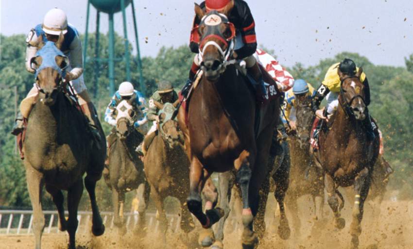 Delaware Park Casino