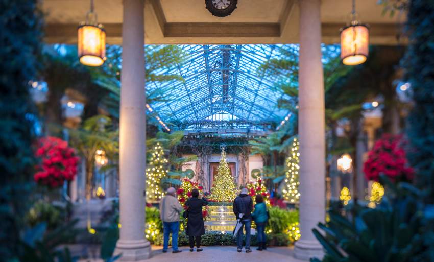 A Longwood Christmas