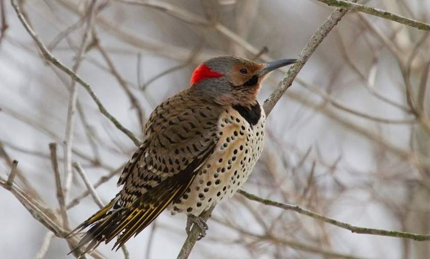 Ashland Nature Center