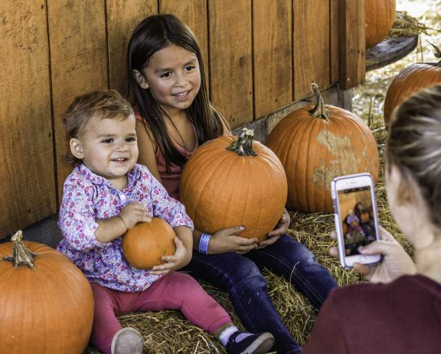 Two young children sit among pumpkins smiling while an adult takes their photo on a smartphone, capturing a festive fall selfie moment in Fayetteville.