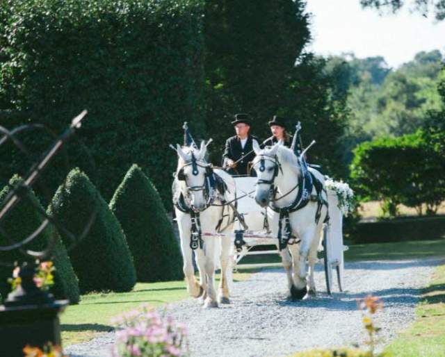 Step Into Your Story: Themed Wedding Ideas in Greater Fayetteville