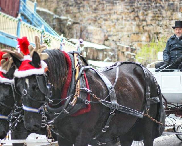 Man with a top hat in a horse drawn carriage