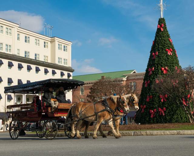 Carriage with people in it being pulled by three horses making it's way around Gettysburg's city center with a giant, decorated Christmas tree in the middle