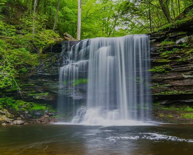 Waterfall flowing into a body of water with green trees surrounding