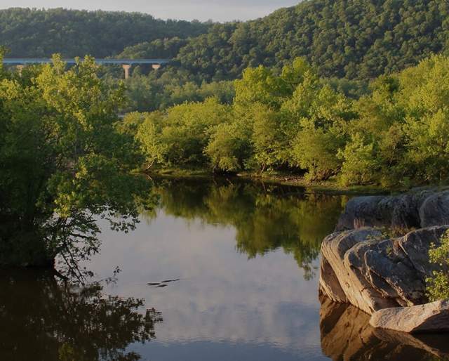 Aerial view of a scenic river with green trees aligning the sides