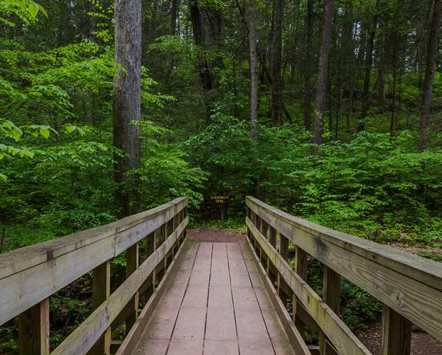 A bridge leading to a green wooded area in the Pocono Mountains
