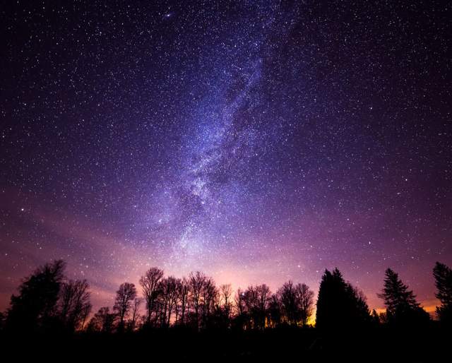 Stars lighting up a night sky with tree silhouettes at Cherry Springs State Park