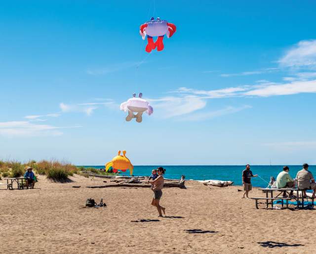 Kids and adults on a beach flying kites on a sunny day