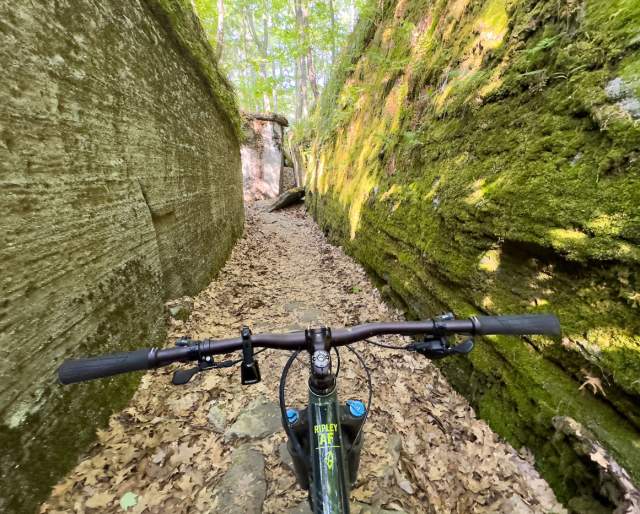 Point of view of a bike on an outdoor trail
