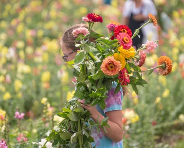 Freedom Farms Wildflower Fest