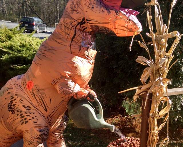 T-Rex Tuesdays