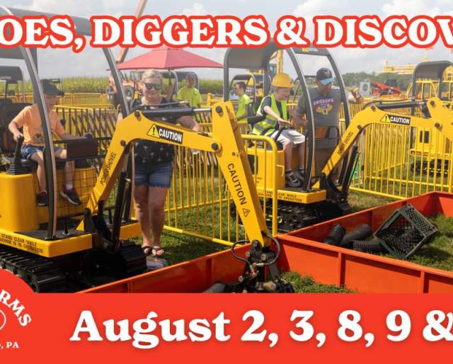 Heroes, Diggers & Discovery