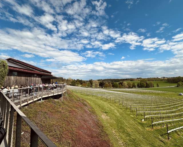 12th Anniversary Deck Celebration at Grandview Vineyard