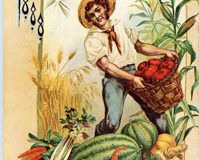 Treasures from the Library Vault: Seeds & Gardening