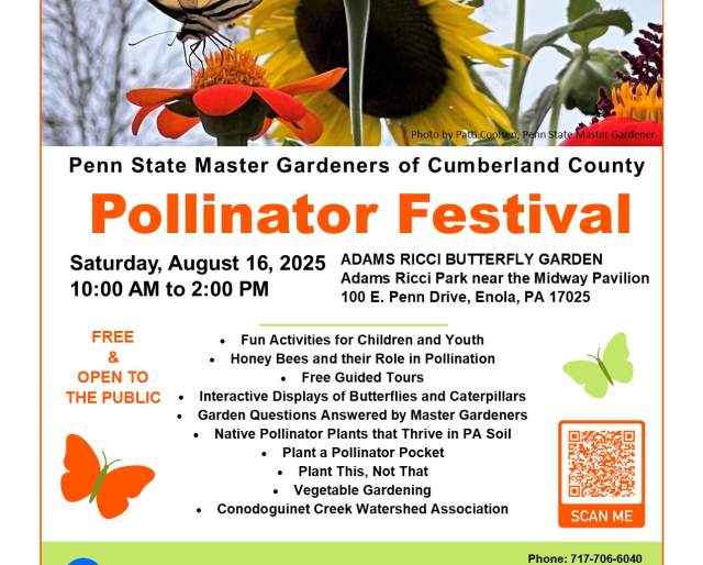 Adams Ricci Butterfly Garden Pollinator Festival