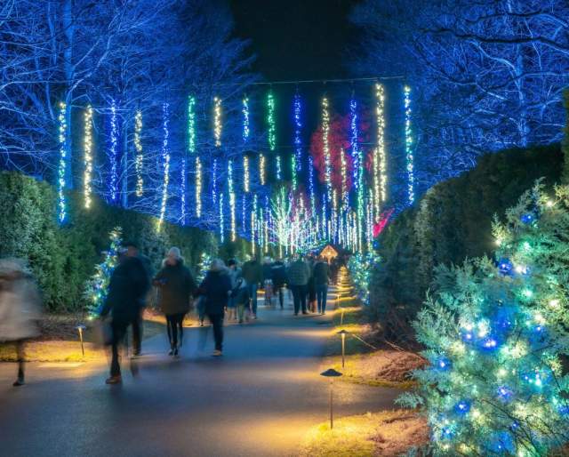 A Longwood Christmas