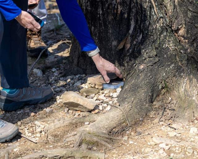 DCNR America250PA GeoTrail