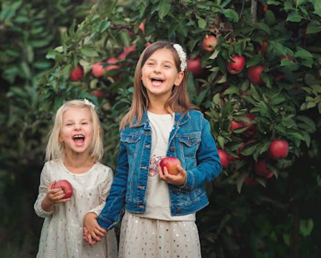 Pick Your Own Apples at Linvilla Orchards