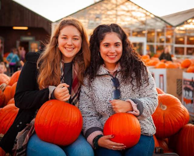 Pumpkinland at Linvilla Orchards