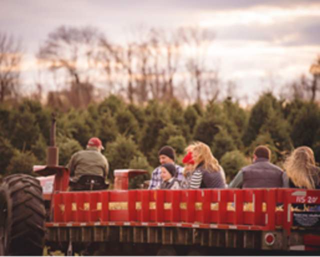 Autumn Moon Hayrides at Linvilla Orchards