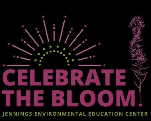 Celebrate the Bloom