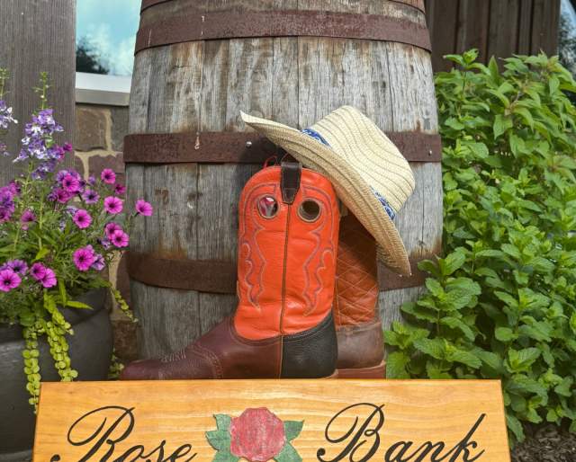 Country Line Dancing at Rose Bank Winery