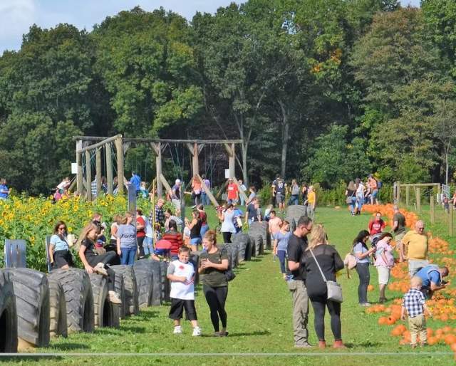 Freedom Farms Fall Festival