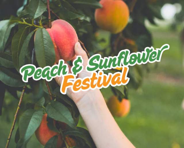 Peach & Sunflower Festival