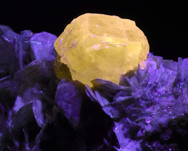 A Marvelous Night of Minerals: An ‘Earthly Matters’ Opening Celebration