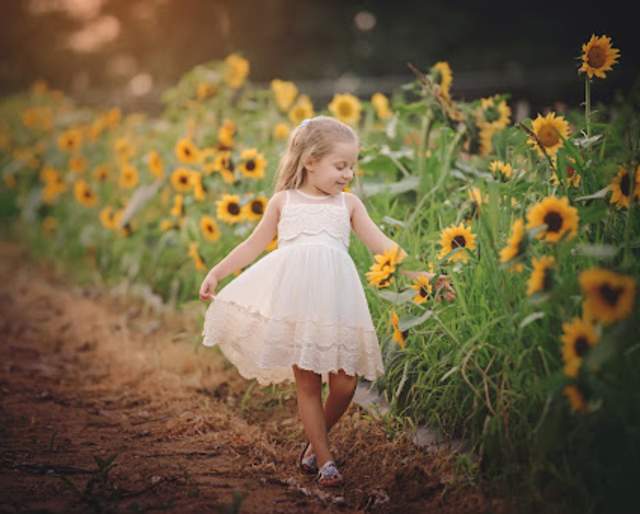 Pick Your Own Sunflowers