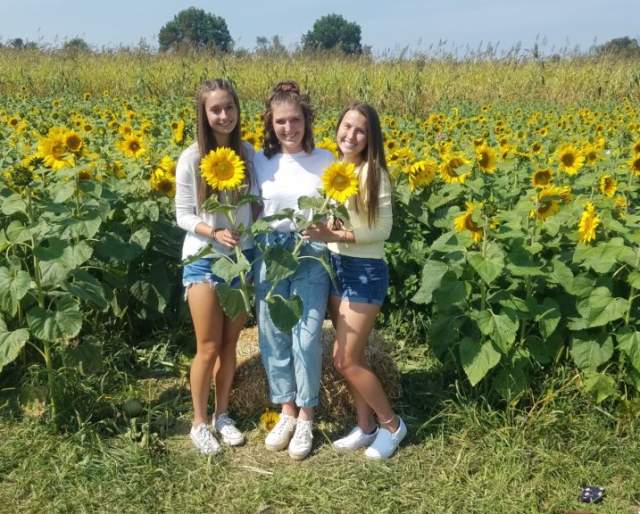 Sunflower Days at Hellerick's Adventure Farm