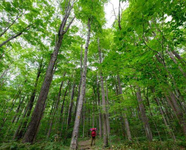 Gabriel Faria, Laurel Highlands Hiking Trail (2)