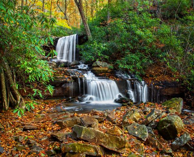 Linda Seanor, Cole Run Fall, Forbes State Forest