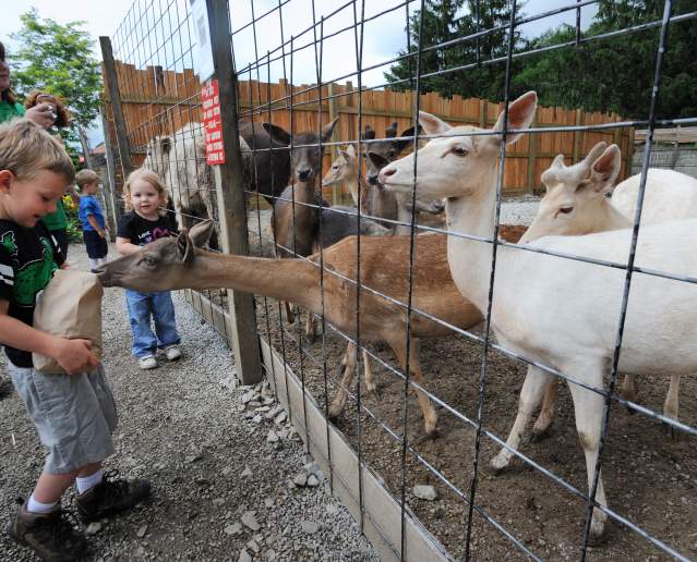 Have a Wild Time at Living Treasures Wild Animal Park
