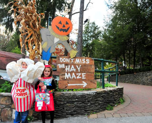 Trick or Treat? Choose How to Celebrate Halloween in the Laurel Highlands