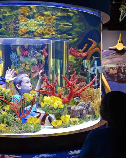 Science Center