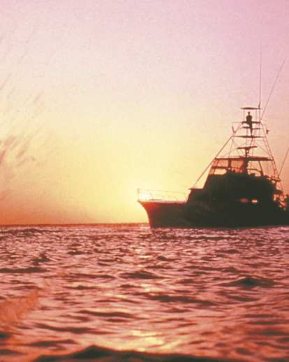 boat and fish